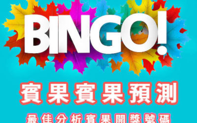 賓果賓果彩票玩法、BINGO BINGO彩票玩法教學