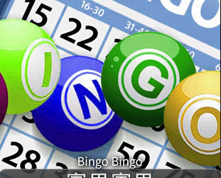 BINGO BINGO賓果賓果投注，BINGO BINGO賓果賓果基本玩法